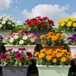 17 Planter Boxes Flowers Ideas Easy Color Boost