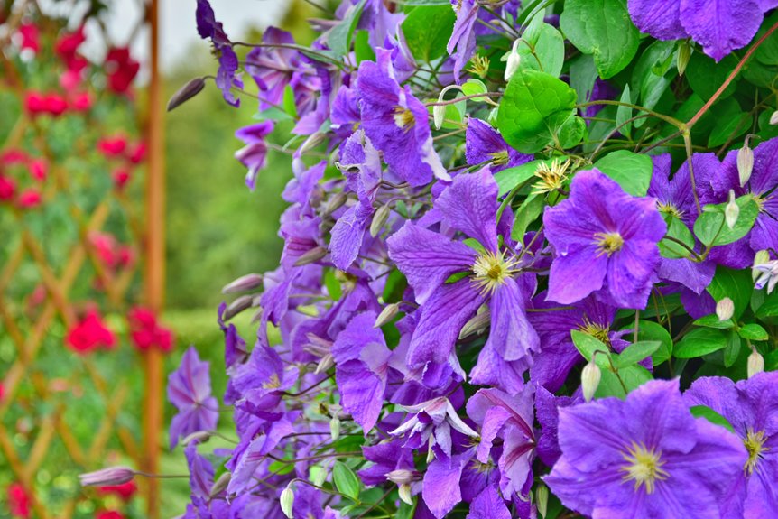 build a garden trellis steps