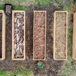 in ground soil for raised beds