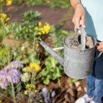 metal garden beds pros and cons