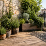 Multiple terrace designs featuring furniture, plants, and various layouts.